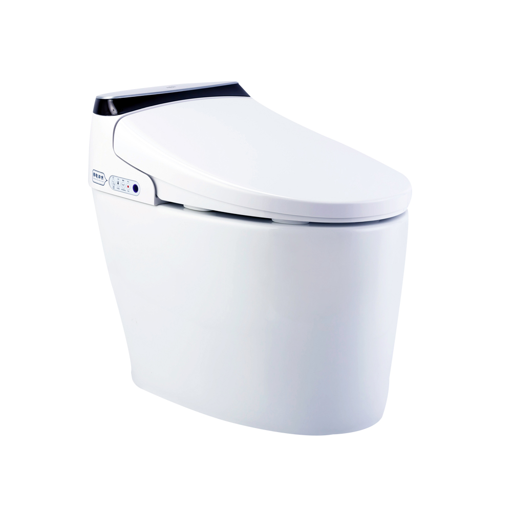HCE809A01 Smart Toilet