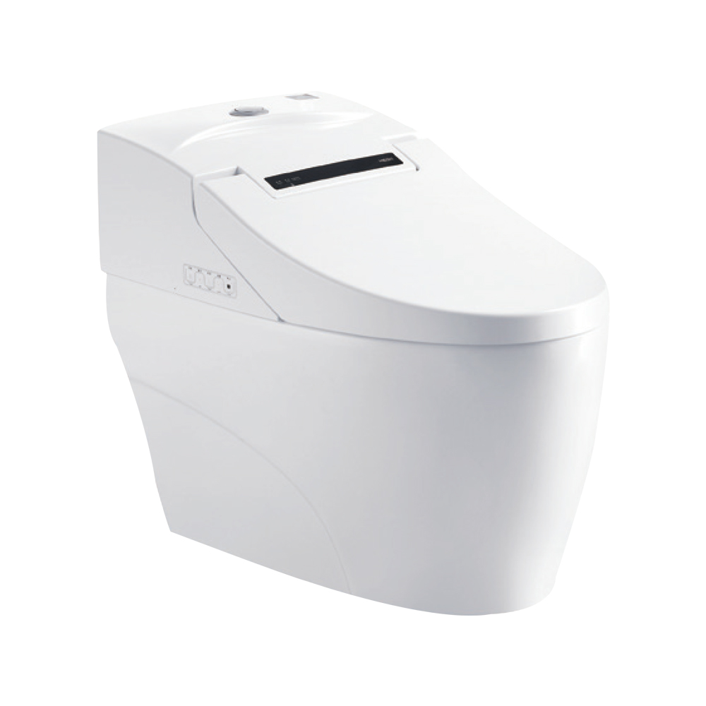 HCE993A01 Smart Toilet