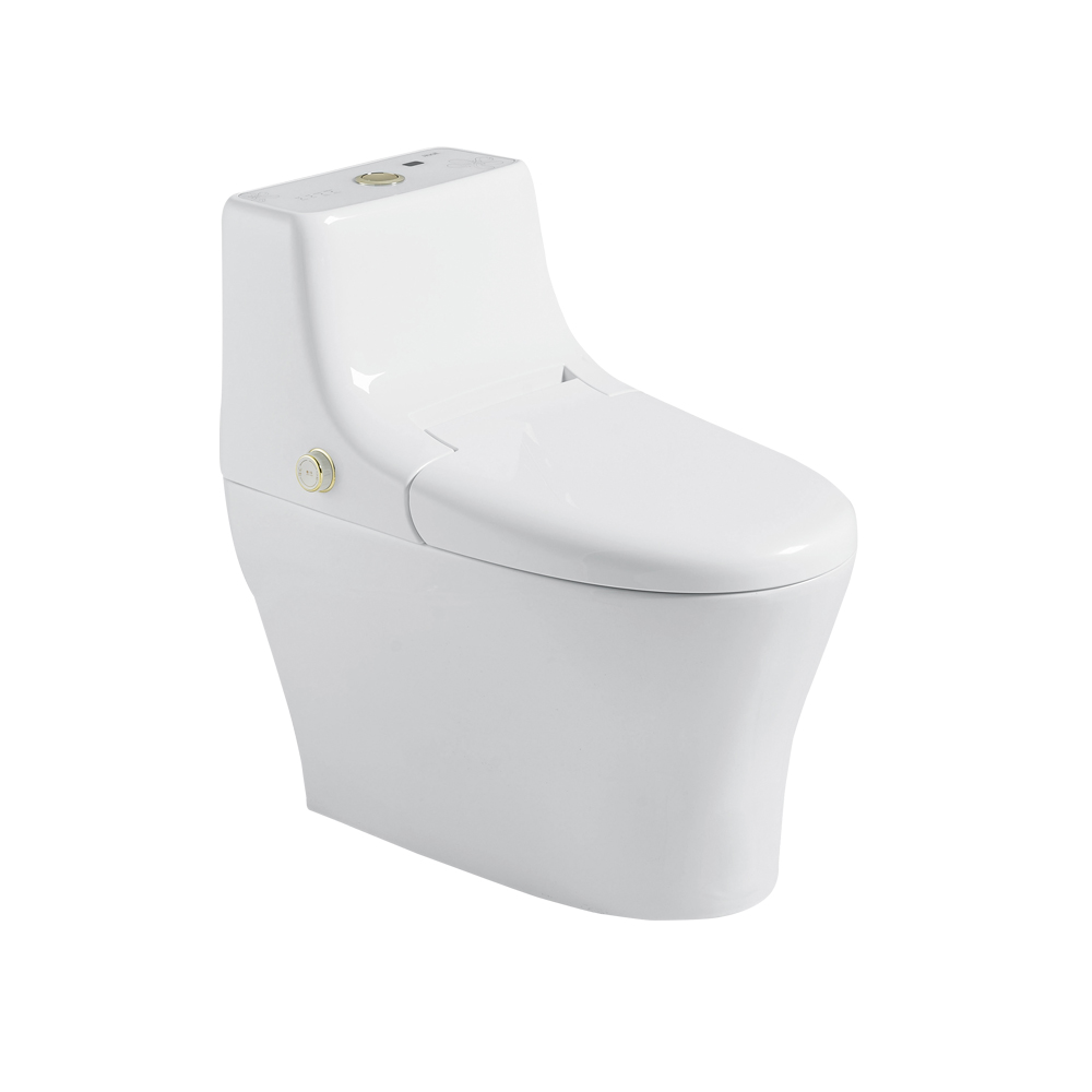 HCE999B01 Smart Toilet