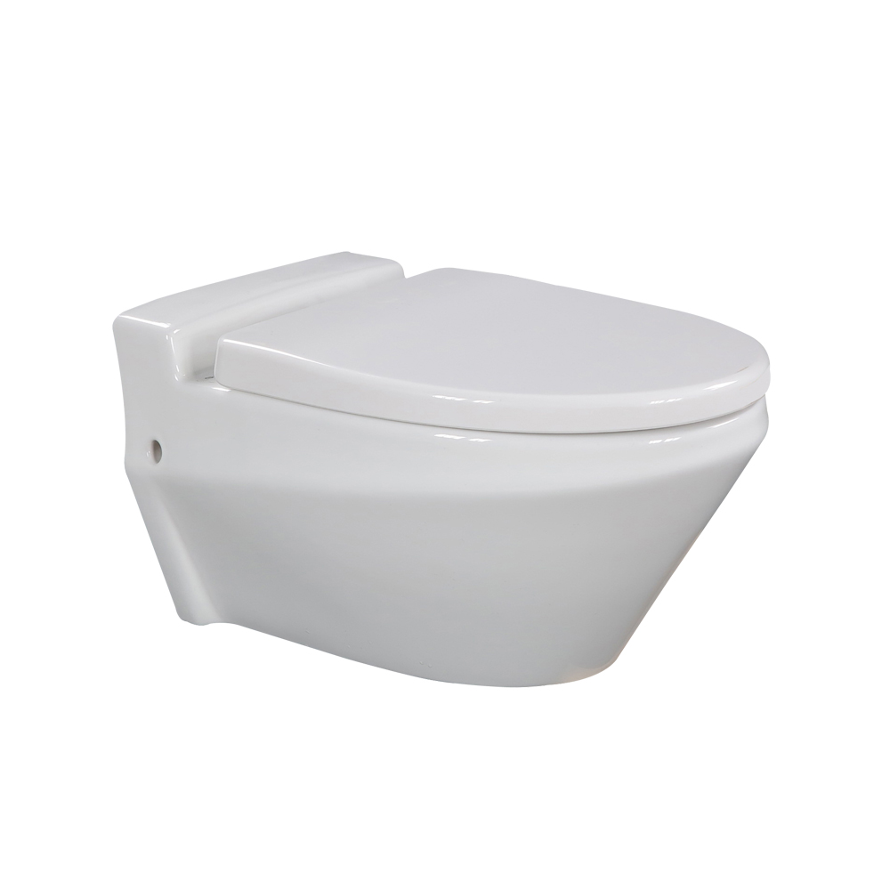 HC0155PN Concealed cistern toilet