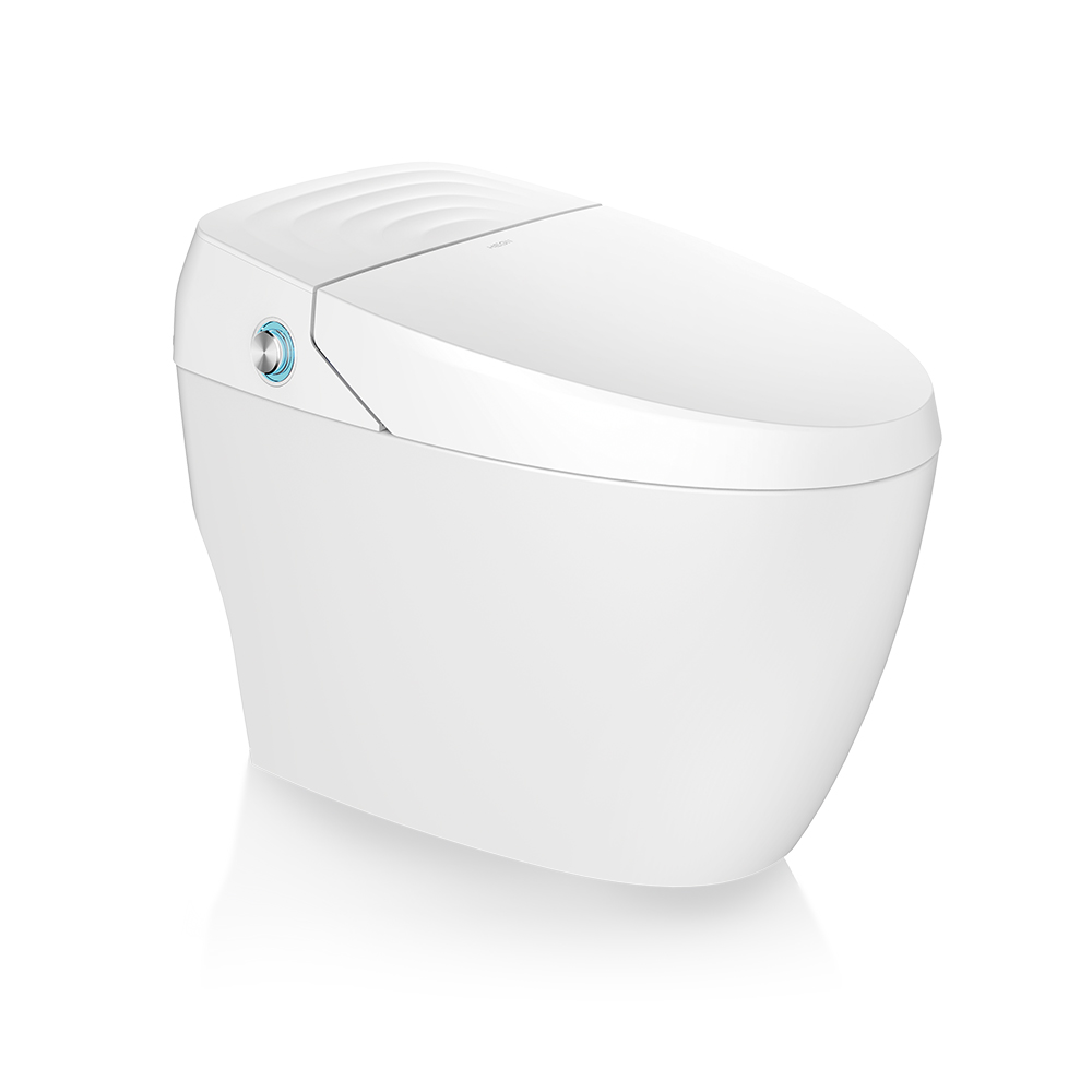 HCE810A01  Q-Light Smart Toilet