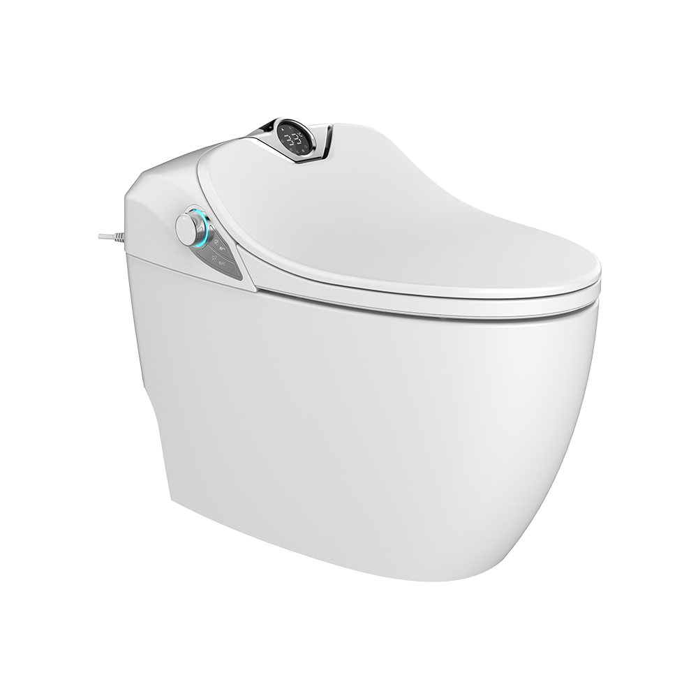 HCE805A01 Q10 Smart Toilet