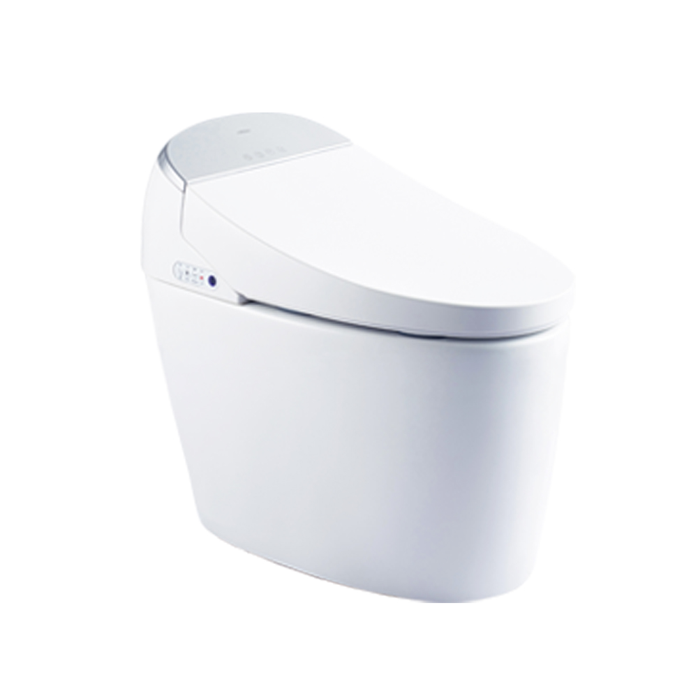 HCE808A01 Smart Toilet