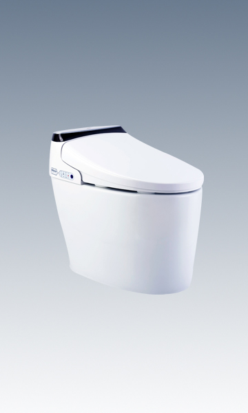 HCE809A01 Smart Toilet